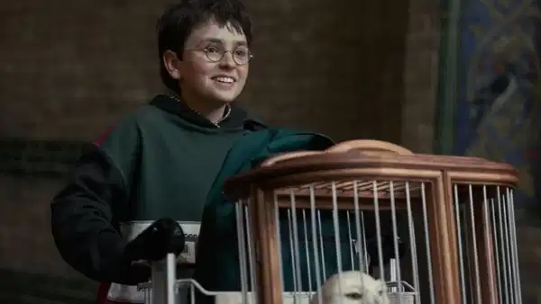Game of Thrones yıldızı kadroda: Harry Potter dizisinin 2. sezon kadrosu genişliyor!