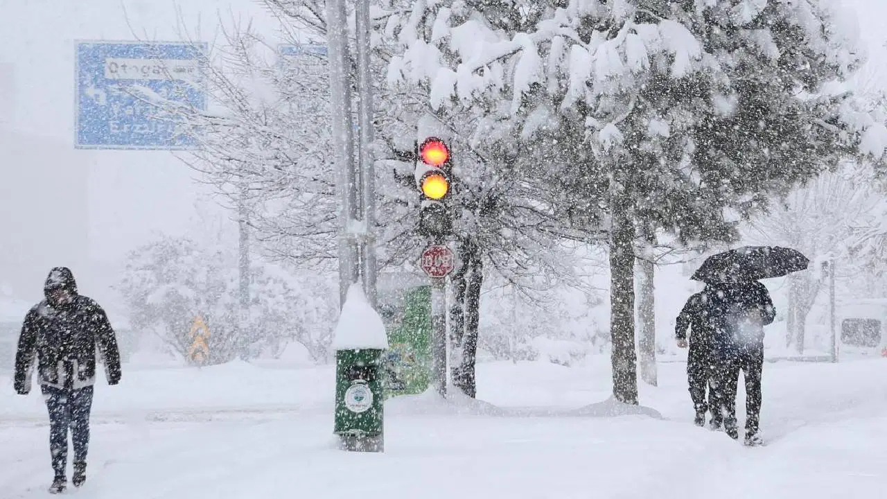 3 il için sarı kod...