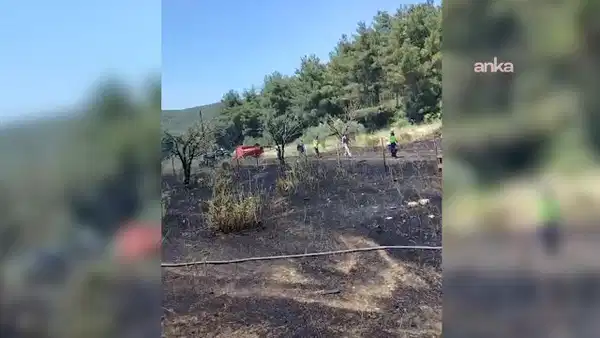 Bornova'da otluk alanda yangın: Büyümeden söndürüldü
