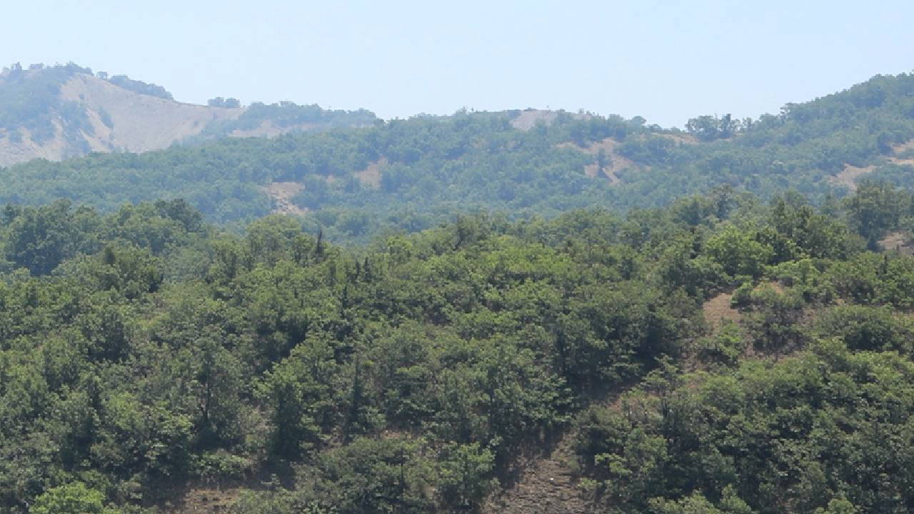 Zonguldak'ta 'ormanlık alan' kararı: 30 Eylül'e kadar girişler yasaklandı!