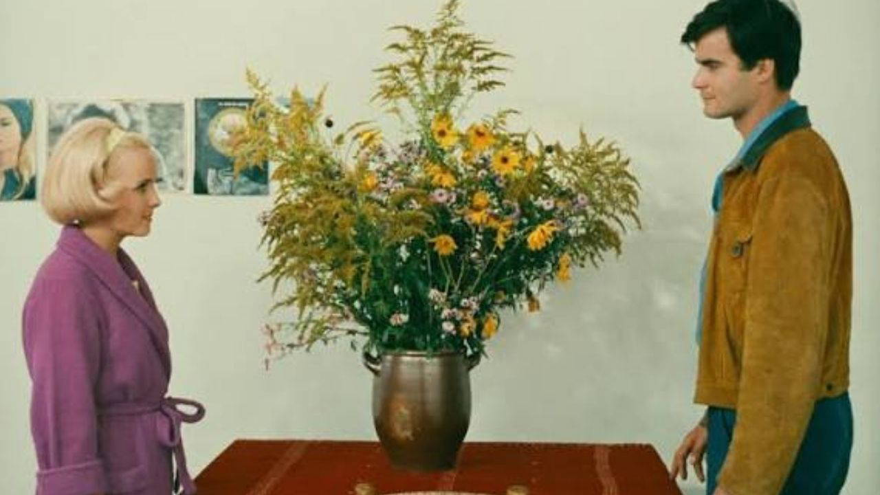Galeri Görseli