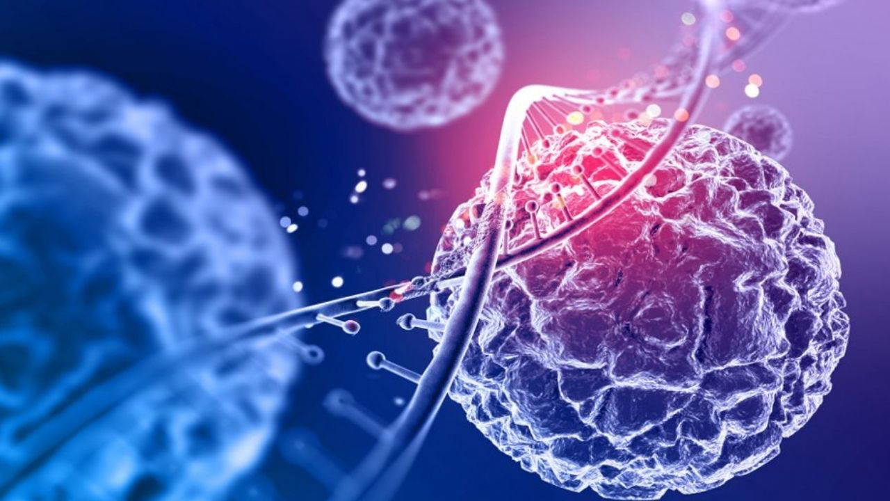 Virüsler böyle yayılıyor olabilir: “Ölümün ayak izi” keşfedildi