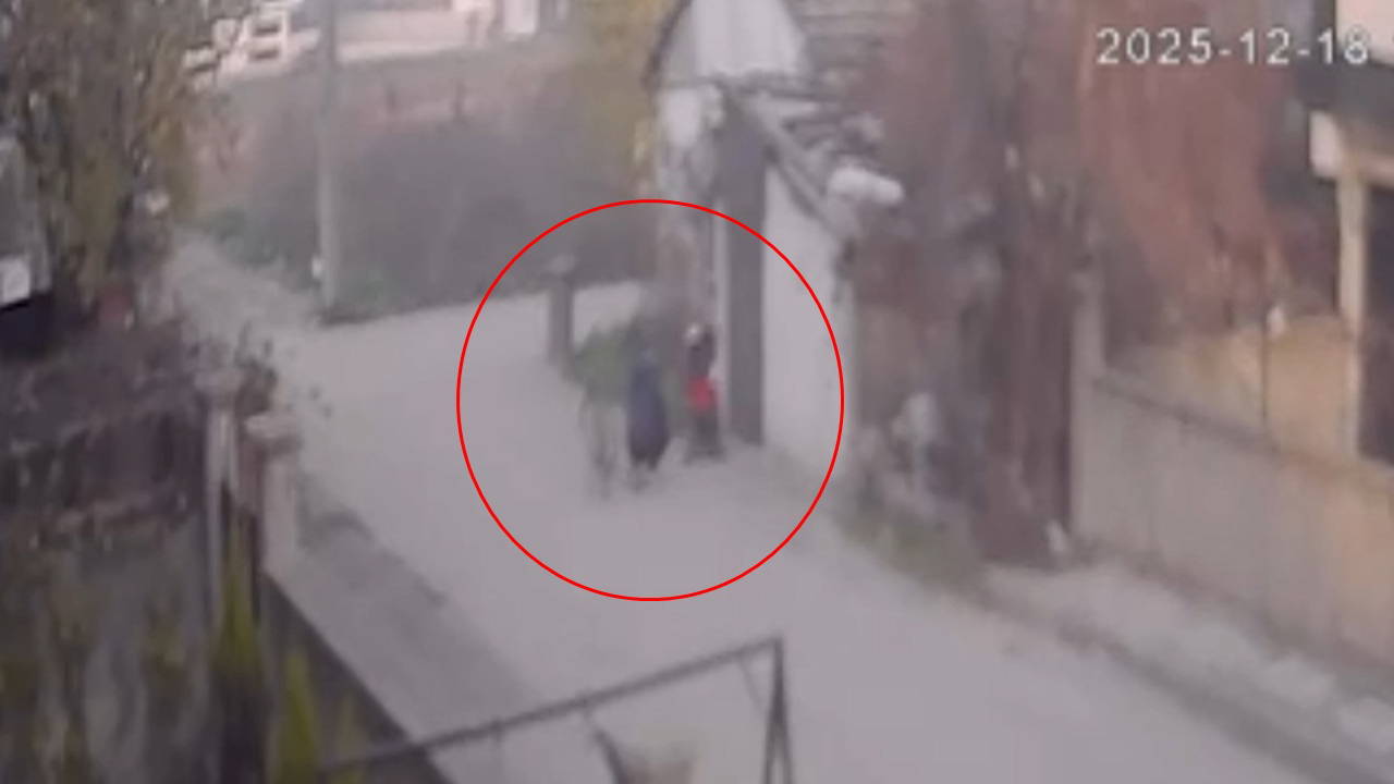 Bebek arabasındaki altınları çalmıştı: 45 gün sonra yakalandı