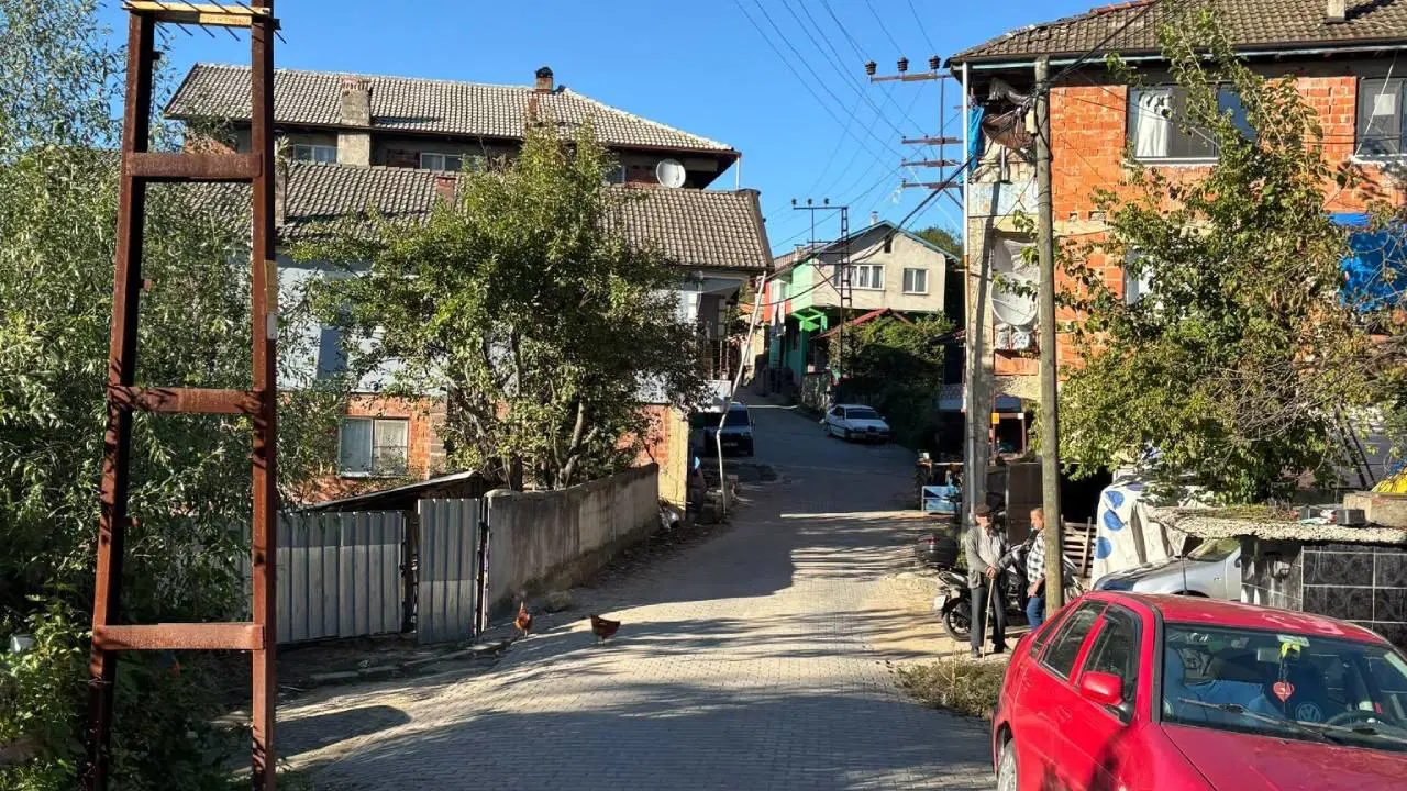 Kestane toplamak için gittiği ormanda ölü bulundu