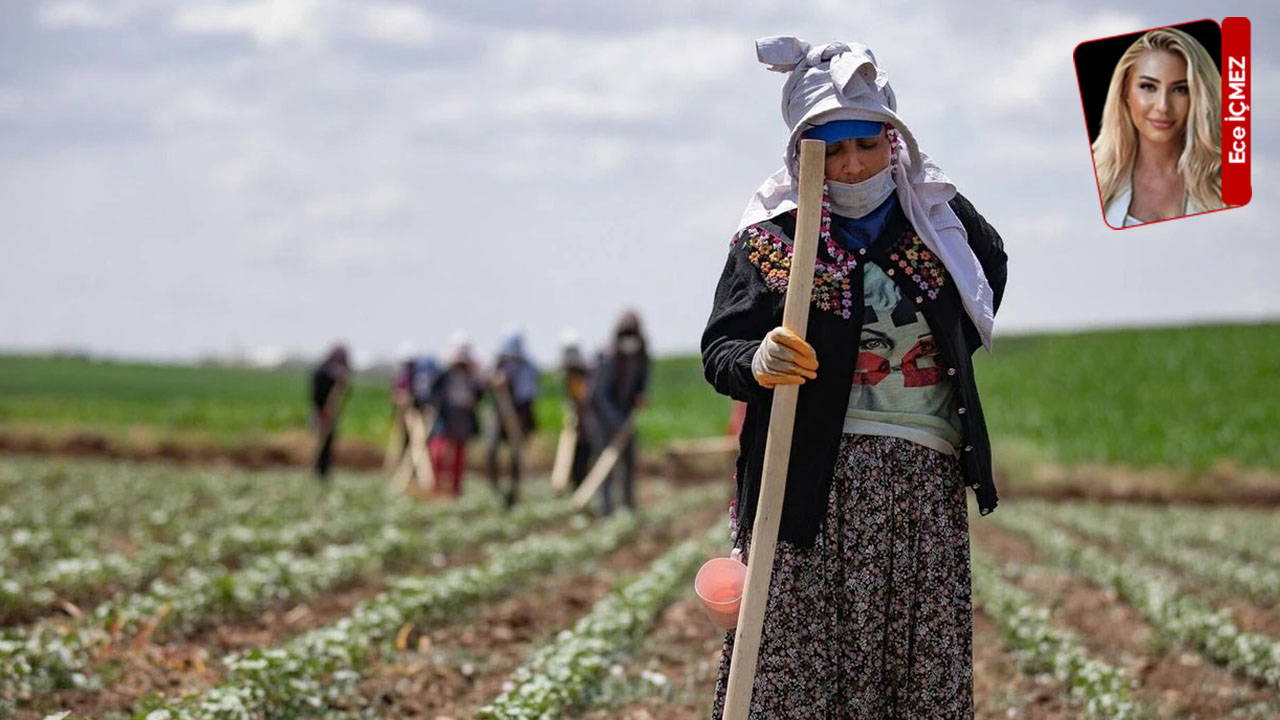 TÜİK büyüme açıkladı, tarım geriledi: 2025’in tarım bilançosu