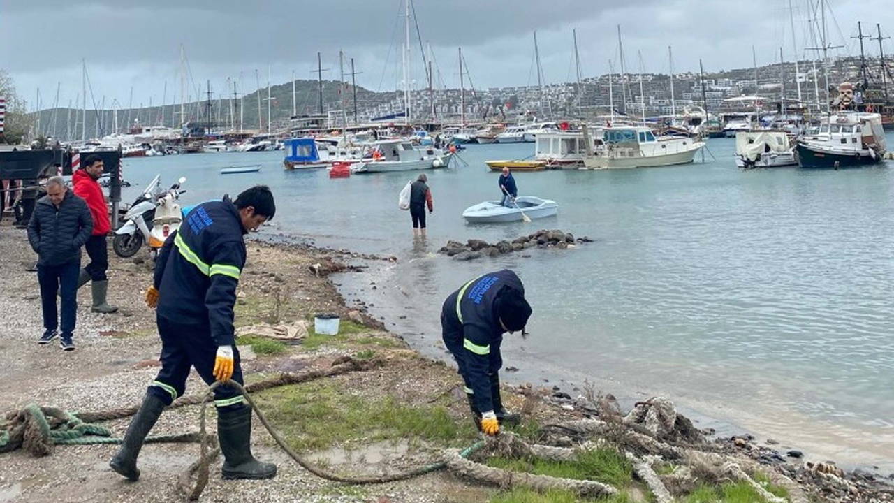 Bodrum'da 60 tekneye 1,5 milyon liralık 'izinsiz kıyıya bağlama' cezası