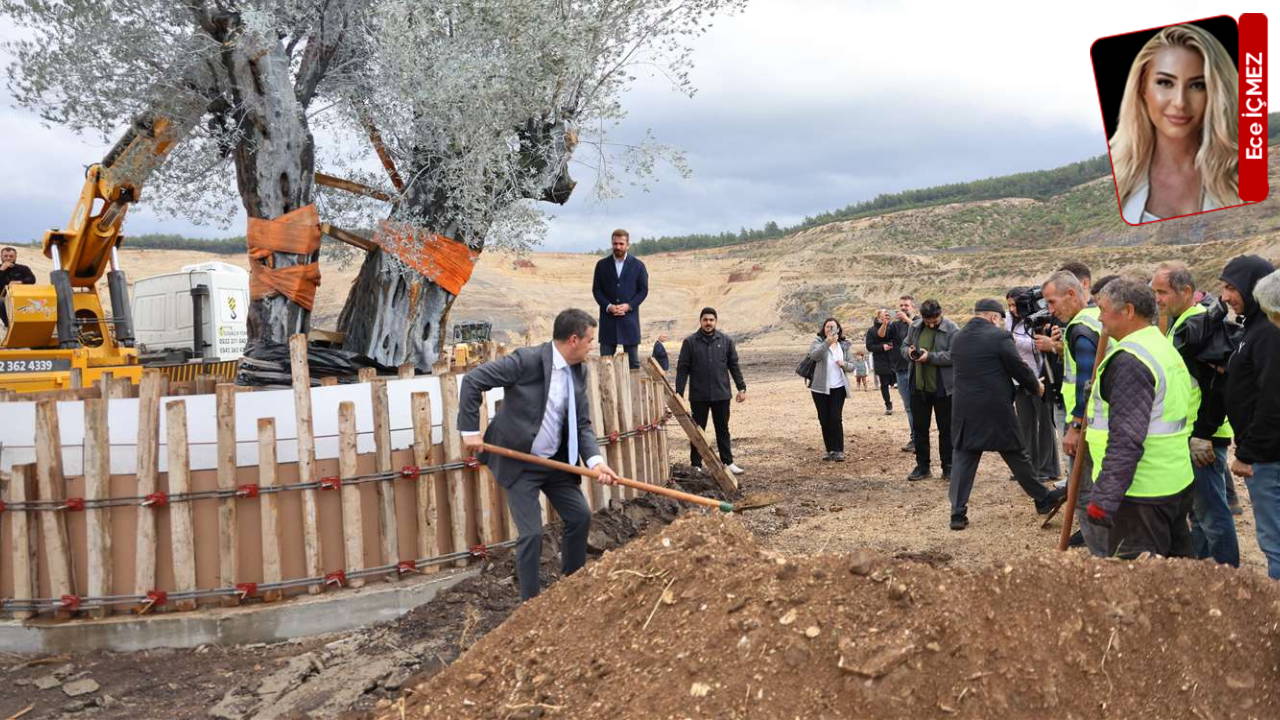 Milas’ta 300 yıllık ağacın taşınmasına tepki: 'Zeytini taşımak köylüyü yok etmektir!'