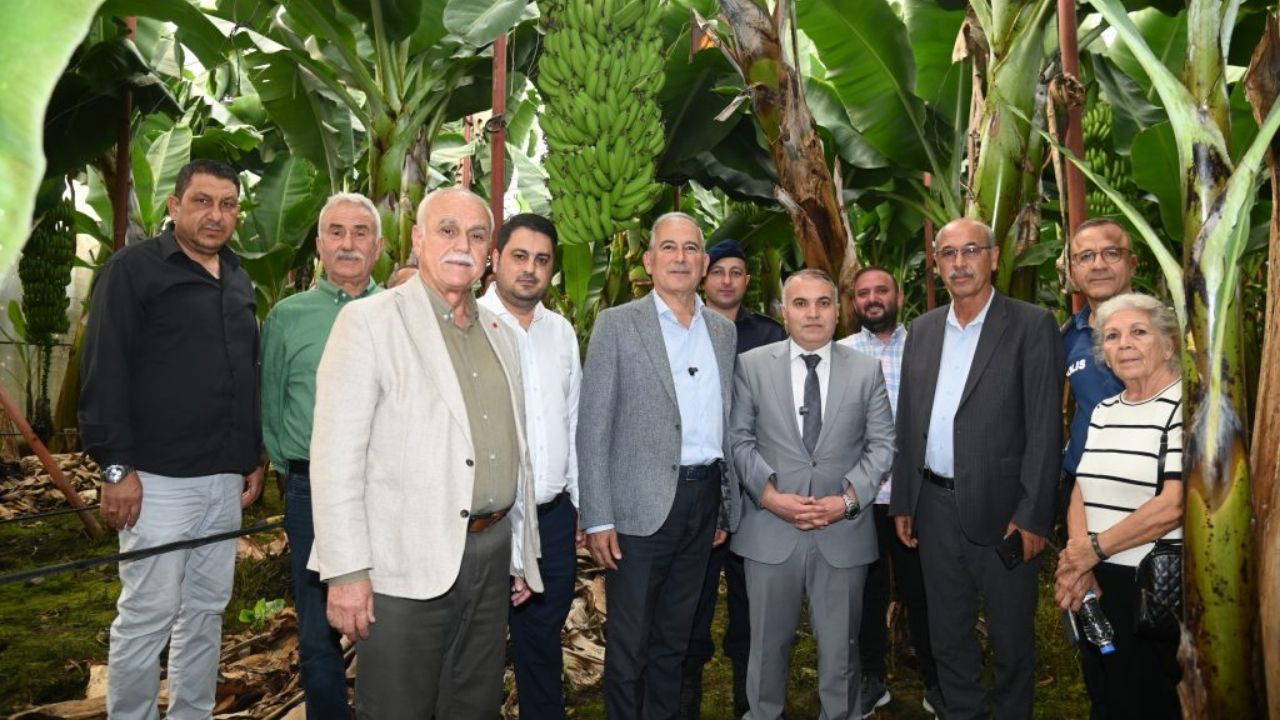 Anamurlular DMD hastası Kuzeyhan için muz dalı bağışına davet edildi