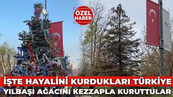 Yıldız Teknik Üniversitesi’nde gericilerden 'Yıldızlı Ağaç'a kezzap saldırısı