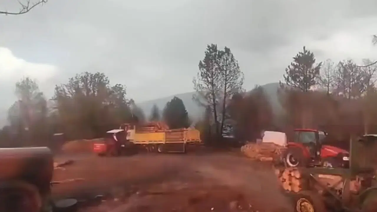 O anlar kameraya yansıdı... Orman işçilerinin yanına yıldırım düştü