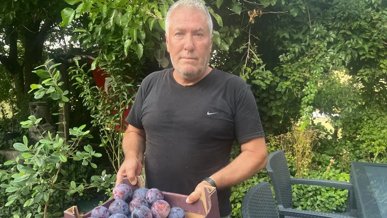 Süleymanlı Yaylası'nda yetişiyor: 5 adedi 1 kilo geliyor