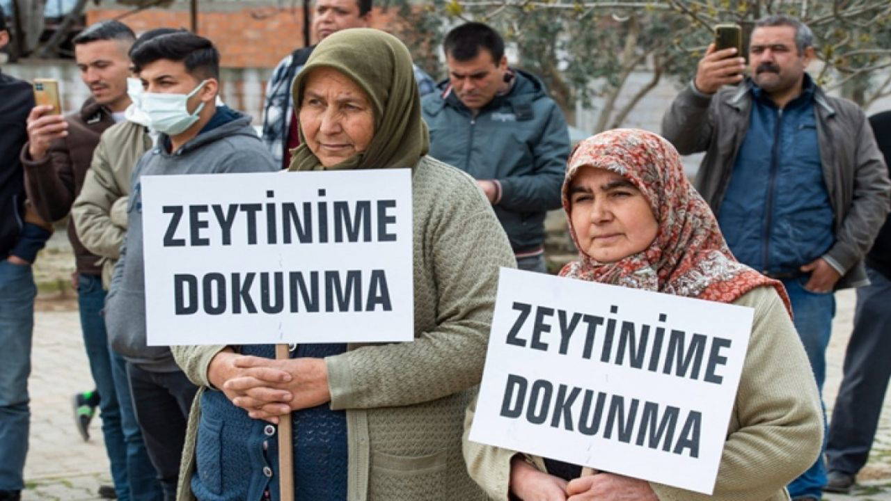 AKP’den zeytinliklerde madenciliğin önünü açan kanun teklifi Meclis’te