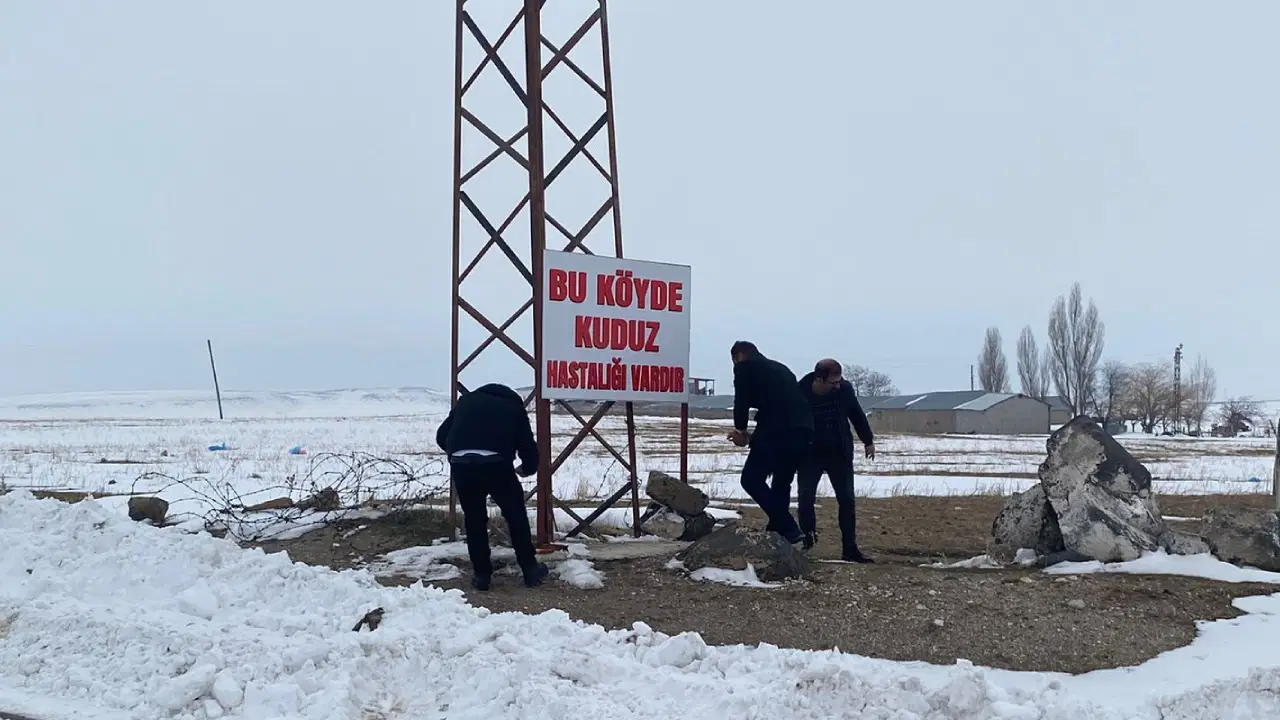 Bitlis'te bir köyde kuduz tespit edildi: Karantinaya alındı!