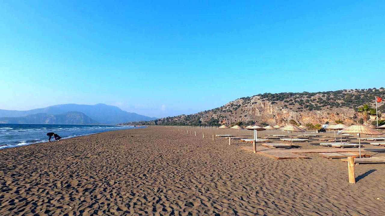 2025'in ilk caretta caretta yavruları denizle buluştu