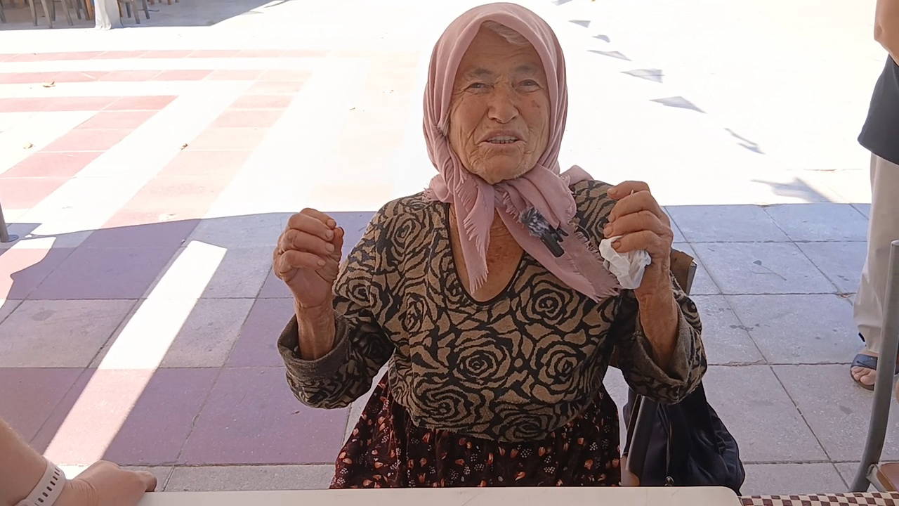 Aydın Karacasu'da YENİ Parti'ye katılım etkinliği: 81 yaşında ilk defa parti üyesi oldu