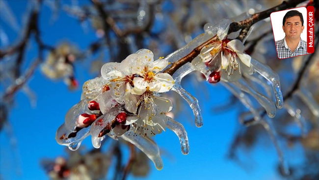 Raporu da don vurmuş!