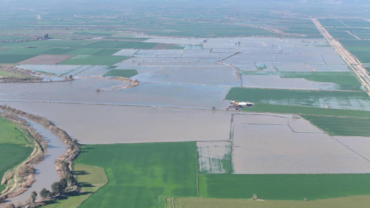 Büyük Menderes Nehri taştı, yüzlerce dönüm tarım arazisi sular altında kaldı!