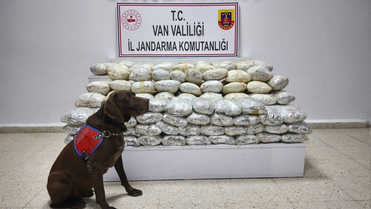 Van'da arazide 60 kilo skunk ele geçirildi