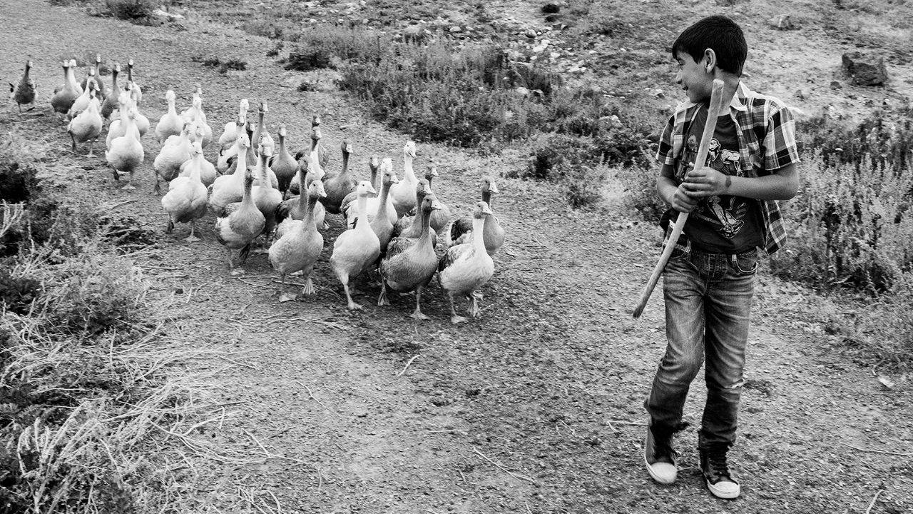 Kadir Ekinci’nin “Kazların Senfonisi” sergisi İzmir’de açılıyor