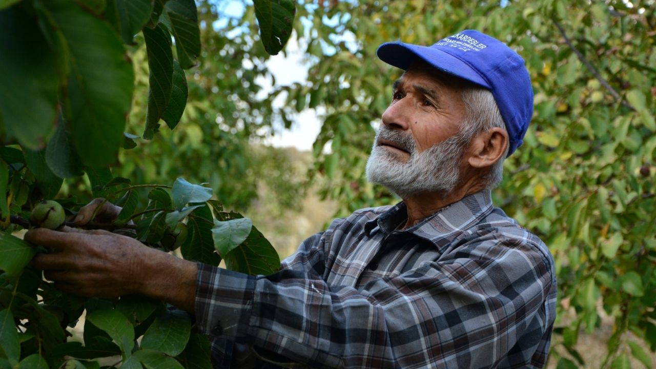 Emekli oldu, köyünde üretime başladı: Hasat için 8 yıl bekledi....