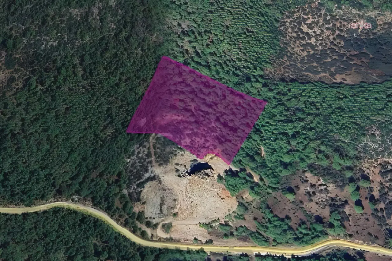 DSİ'den Muğla'da ormanlık alana maden ocağı projesi