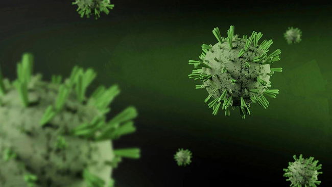 ‘Menenjit salgını söz konusu değil’ 