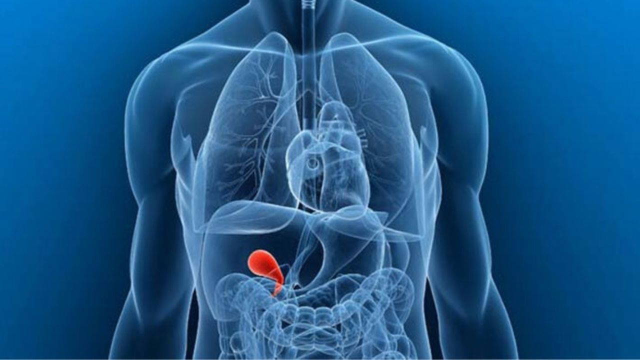 Kışın safra kesesi sorunları ile ilgili uyarı: 'Geçmeyen karın ağrısına dikkat'