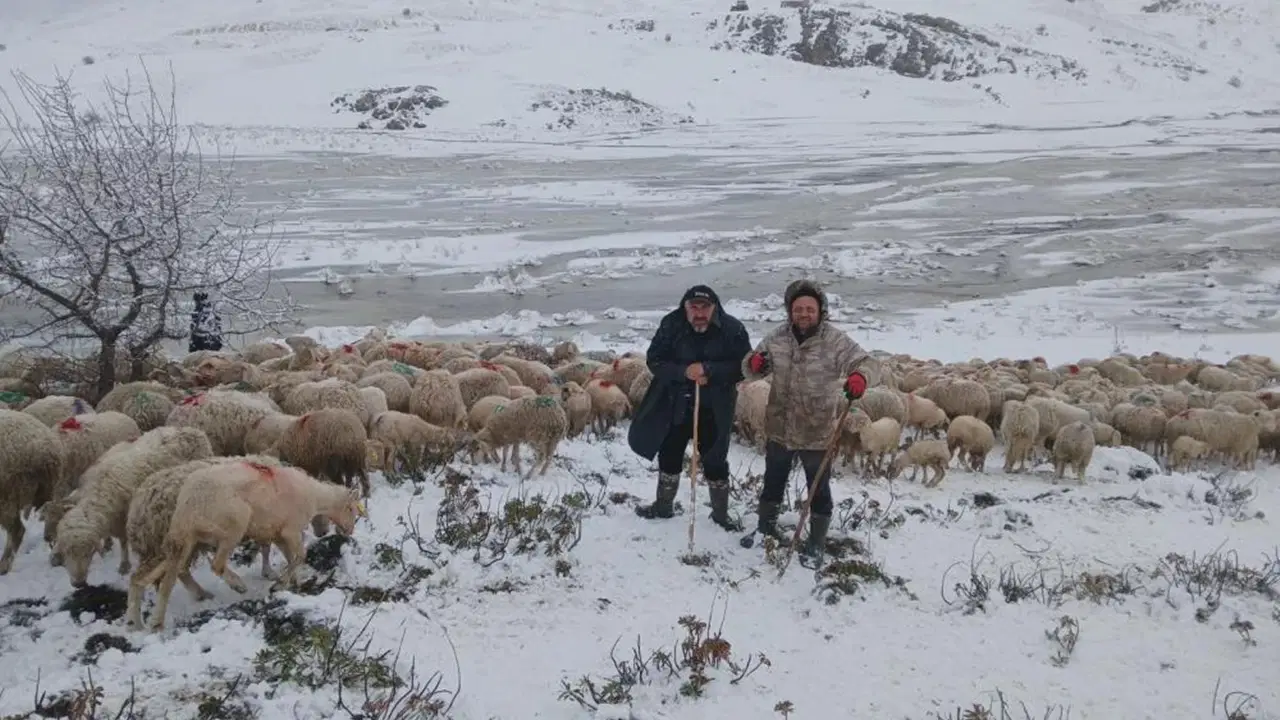 Tipi vurdu, heyelan yolu kapattı: 2 çoban ve yaklaşık 650 küçükbaş hayvan yaylada mahsur!