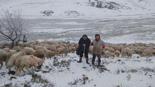 Tipi vurdu, heyelan yolu kapattı