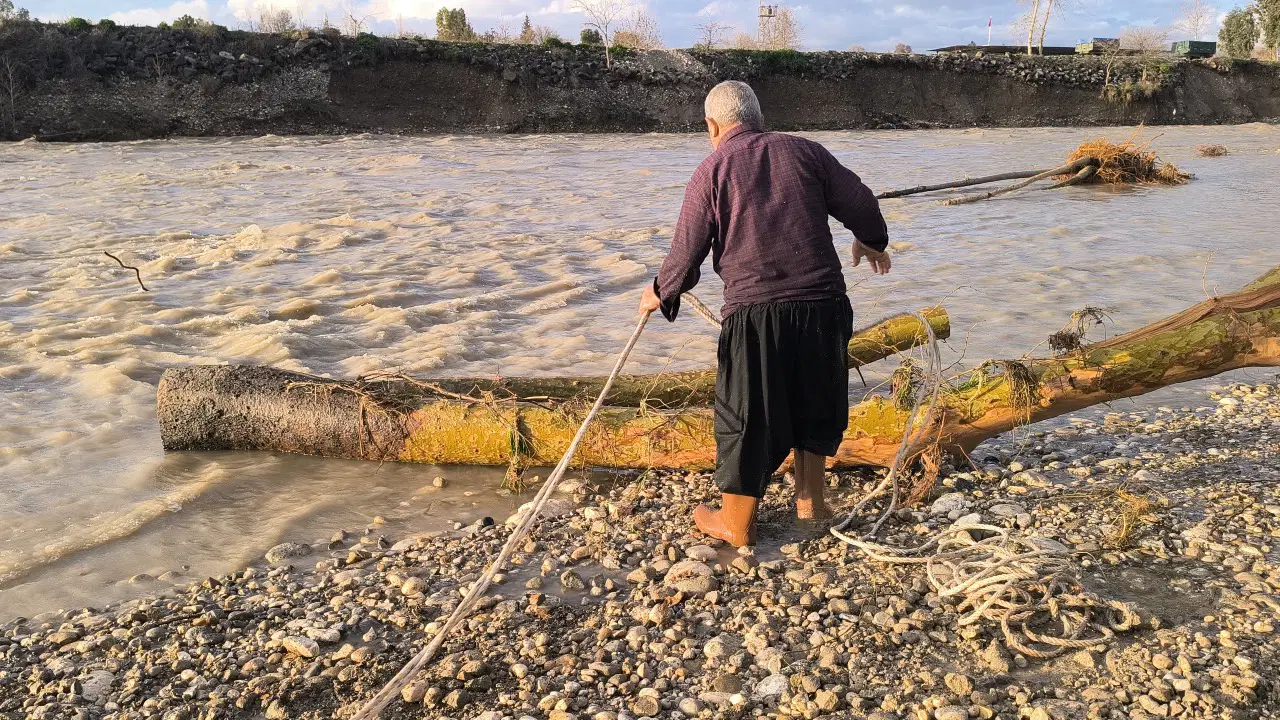 Çayda sel sularının süreklediği ağaçları yakacak yapıyor
