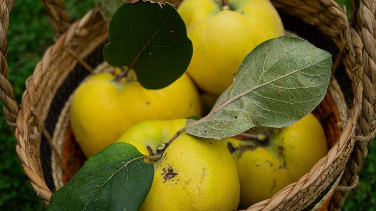 Soğuk havada sağlıklı kalmanın sırrı: Kış sebzeleri ve meyveleri