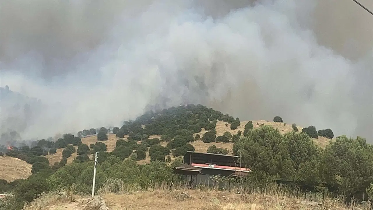 Aydın'da orman yangını hızla yayılıyor!