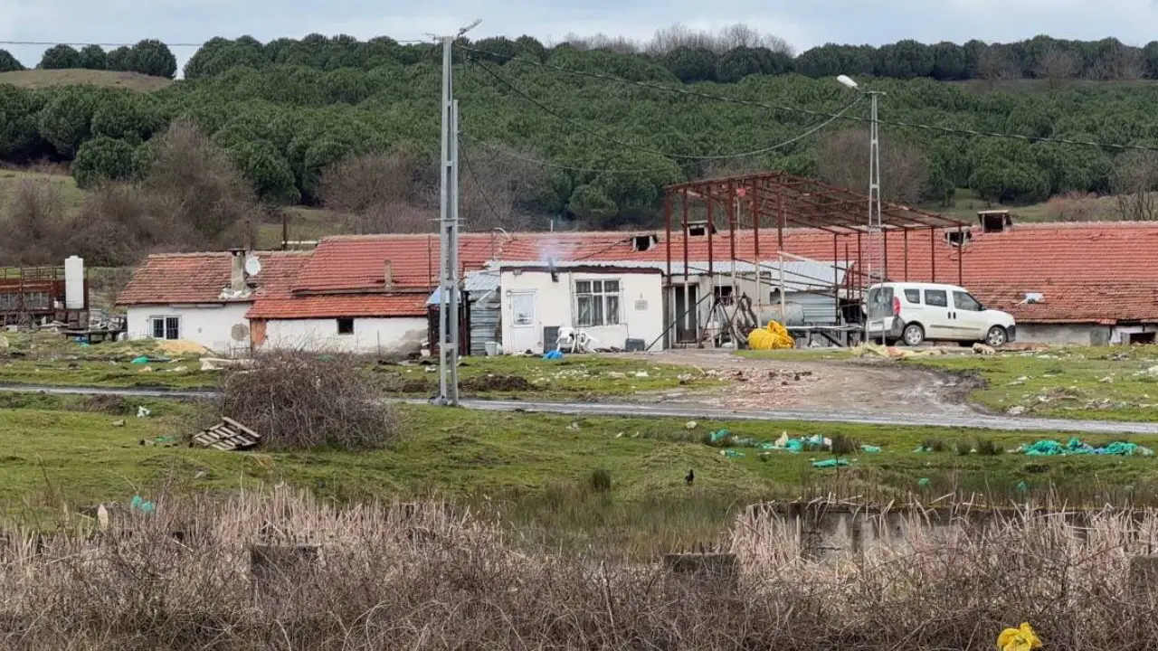 Arnavutköy’de elektrikli testereli saldırı! Çiftlik evinde dehşet