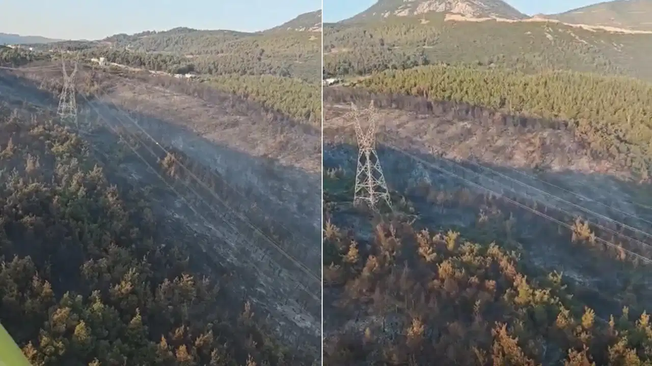 Manisa'daki orman yangını 2'nci gününde!