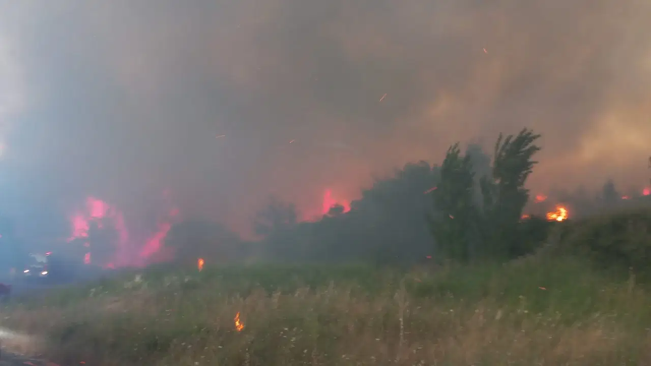 Çanakkale’de otlukta çıkan yangın ormana sıçradı: Müdahale sürüyor!