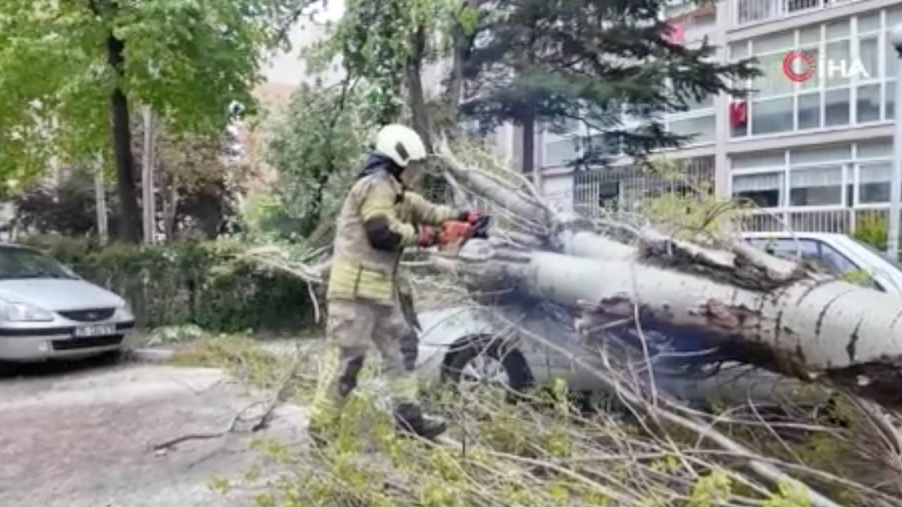 İstanbul'da poyraz etkili oluyor... Beylikdüzü’nde ağaç, otomobilin üzerine devrildi