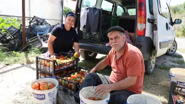 Şekli bozuk diye yüzüne bakılmıyordu! Geçen yılın zararını 'dangalak' ile çıkardılar: Pazarda kilosu 100 TL...