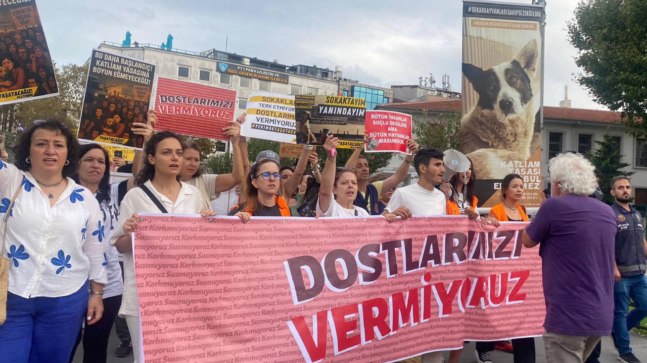 ‘Hayvan düşmanı politikalar hız kesmeden gündemi işgal ediyor’