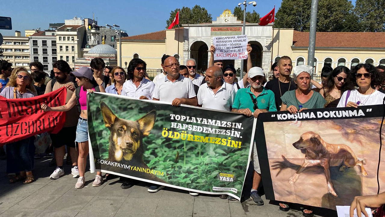 Yaşam hakkı savunucuları İstanbul Valiliği’nden seslendi