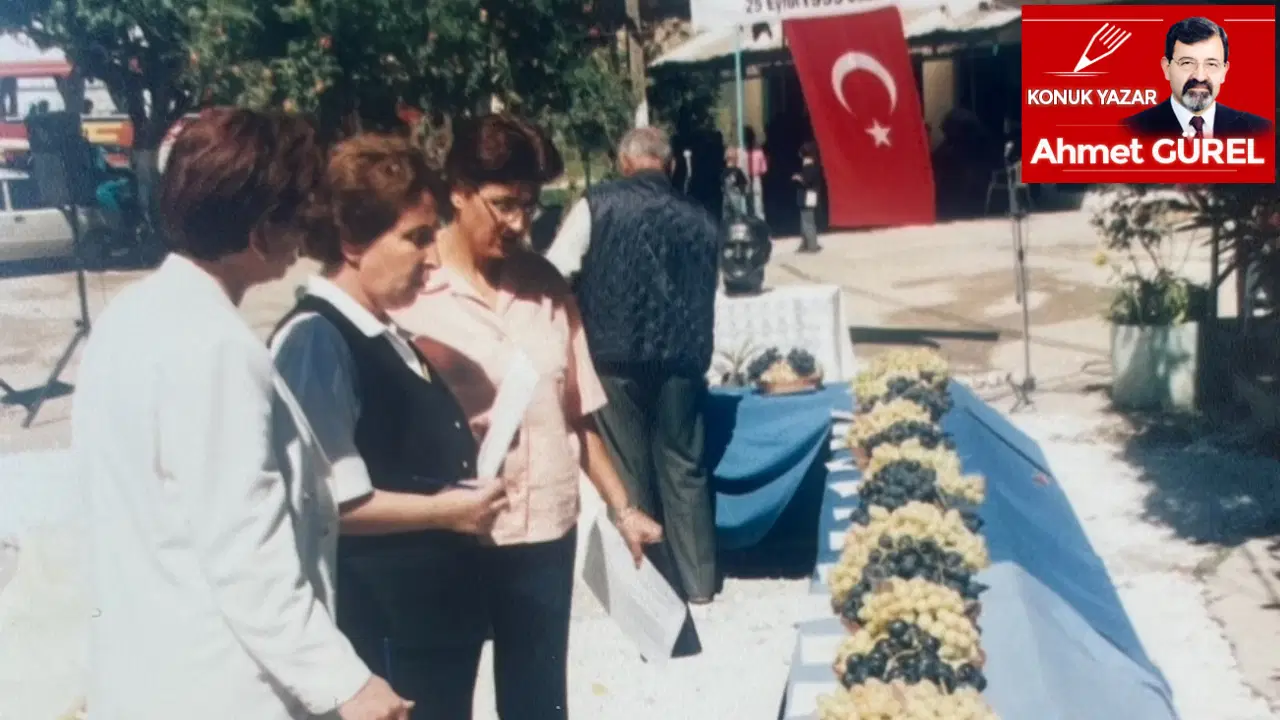 Kavacık Üzüm Festivali’nin ilki 1999 günü düzenlendi
