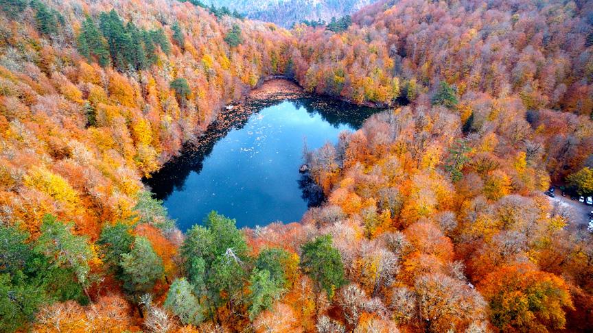 Sonbaharın büyüsünü keşfedin: Renk cümbüşüyle dolu en keyifli 6 sonbahar rotası