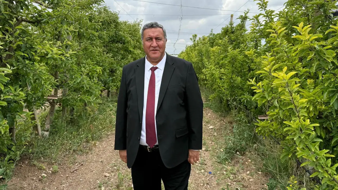 CHP'li Gürer: 'Zeytinliklerin yerini kömür madenleri alacaksa, hem bugünümüzü hem de geleceğimizi kaybediyoruz demektir'