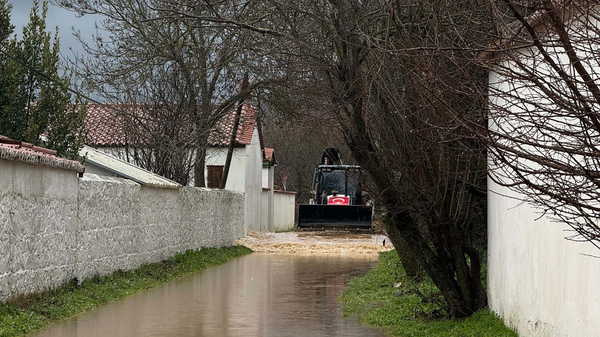 Muğla'da şüpheli ölüm: Kayıp olarak aranan kadın ağaca asılı bulundu