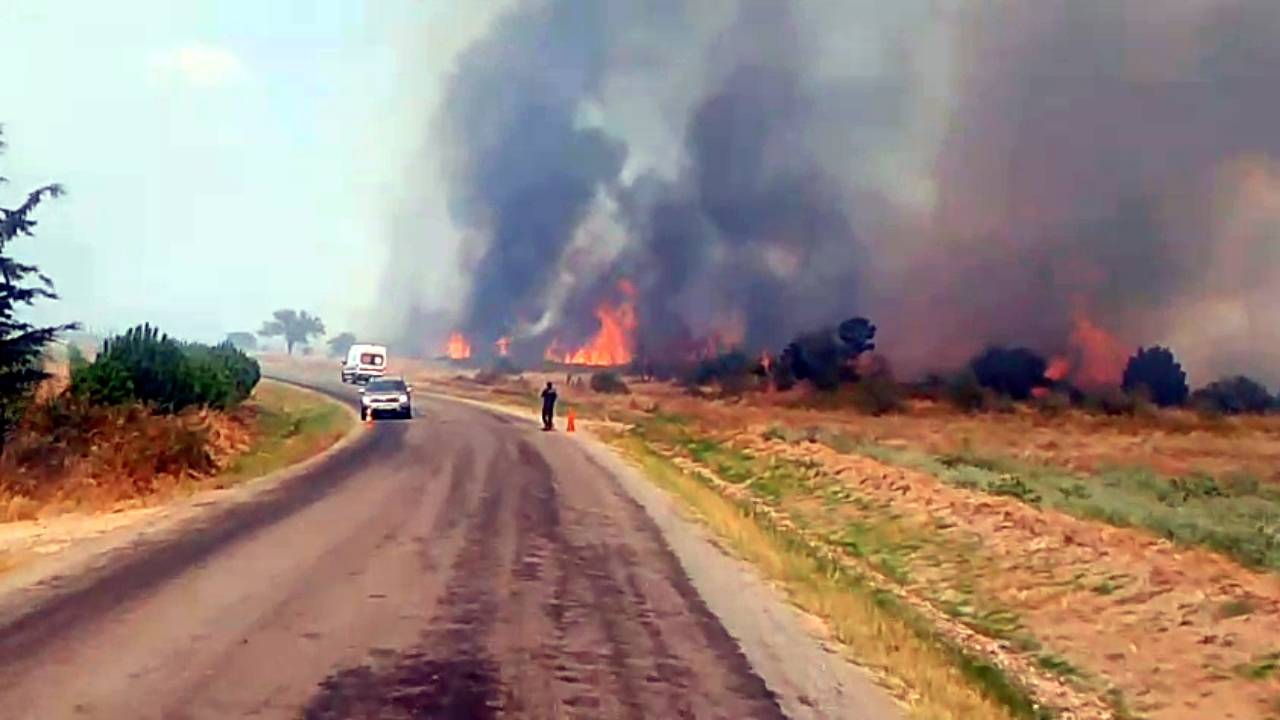 Edirne'de anız yangını ormana sıçradı: Havadan ve karadan müdahale sürüyor