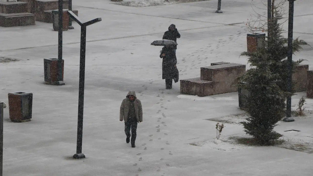 Van'da kar ve sis: 141 yerleşim yerine ulaşım yok