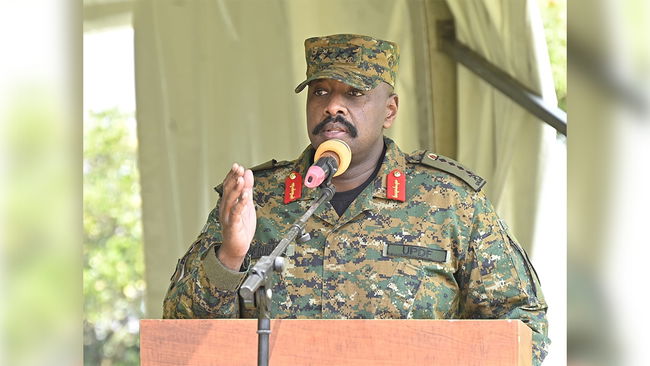 'Hayatta kalma şansları yok...'