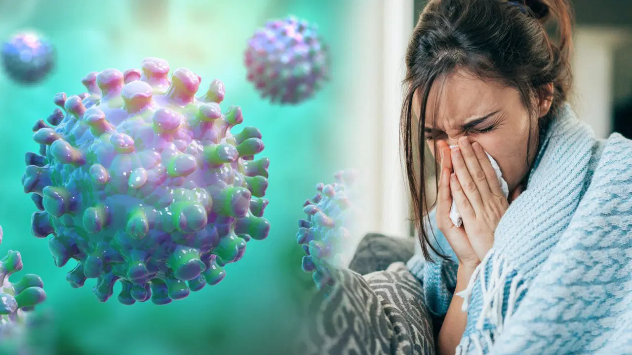 Sağlık Bakanlığı'ndan 'H3N2 virüsü' açıklaması