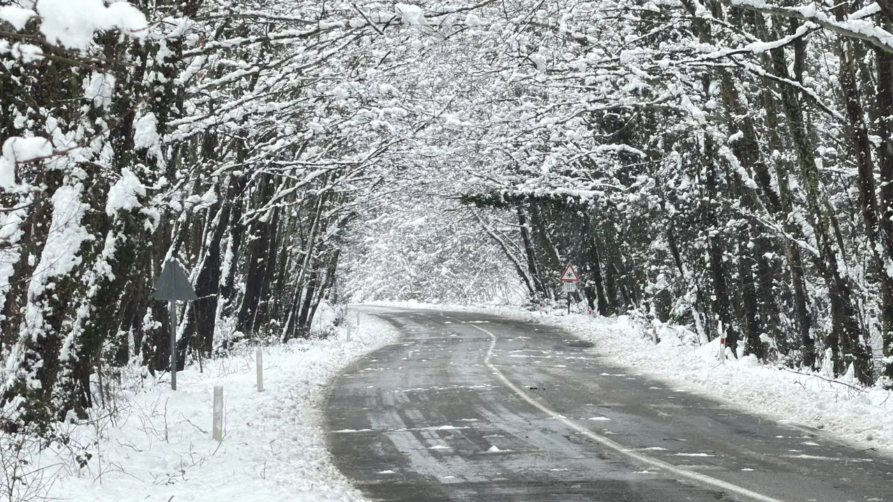 Dünyadaki benzerlerini aratmıyor! 'Ağaç tünel yol'da büyüleyen kar manzaraları...