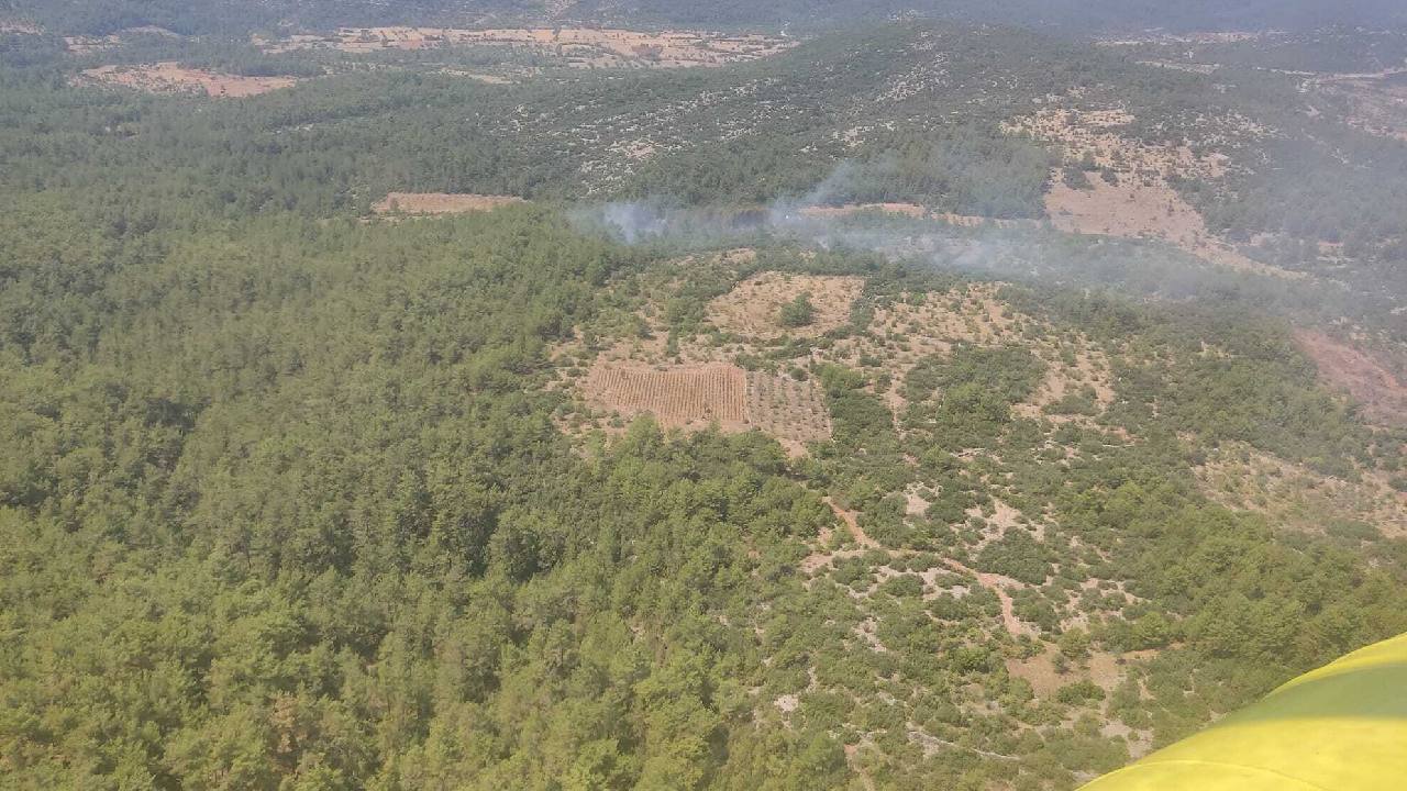 Menteşe’de çıkan orman yangını kontrol altına alındı