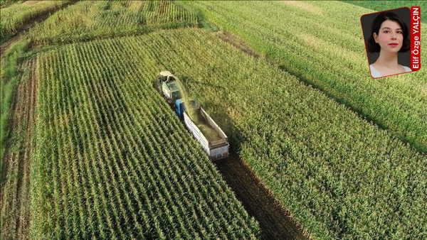 ‘Üretim planlamasına katkı vereceğiz’
